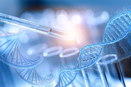 Scientist holding a petri dish